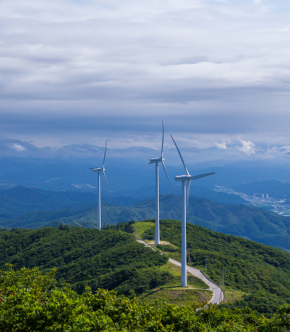 태기분교 인문학