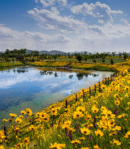 생태공원 힐링프로그램