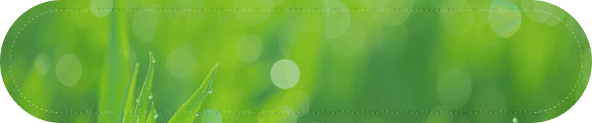 청태·태기산 생태관광