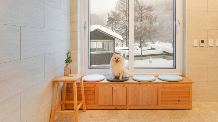 횡성 이랑둔내휴양림 펜션